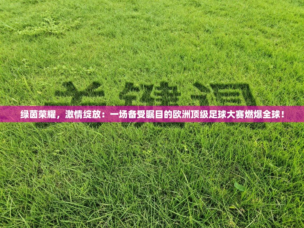绿茵荣耀,激情绽放:一场备受瞩目的欧洲顶级足球大赛燃爆全球! 第2张